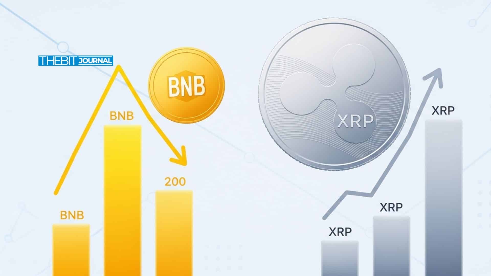 BNB vs XRP: $76K Daily Revenue Compared vs $93B Market Cap 9 BNB vs XRP: Revenue Data Clashes With Market Cap Flip
