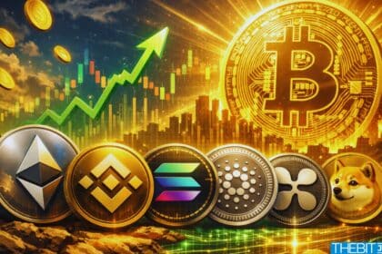 Der Rückgang des Bitcoin-Kurses unter 80.000 Dollar trifft Solana, XRP und BNB hart