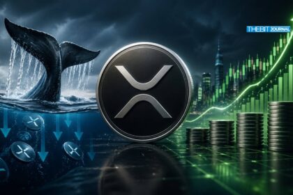 XRP Price Analysis: 60% Whale Outflows vs Rising Leverage