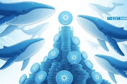 How Cardano Whales Load Up 220M ADA Yet Price Remains Stuck Below $0.275