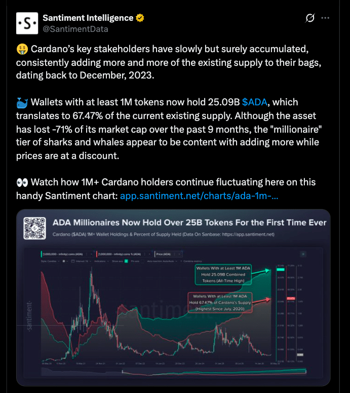 Is Cardano Whales 67% Accumulation a Bullish Signal or a Warning? 8 Cardano Whales Tighten Grip on ADA Supply Despite Weak Network Activity