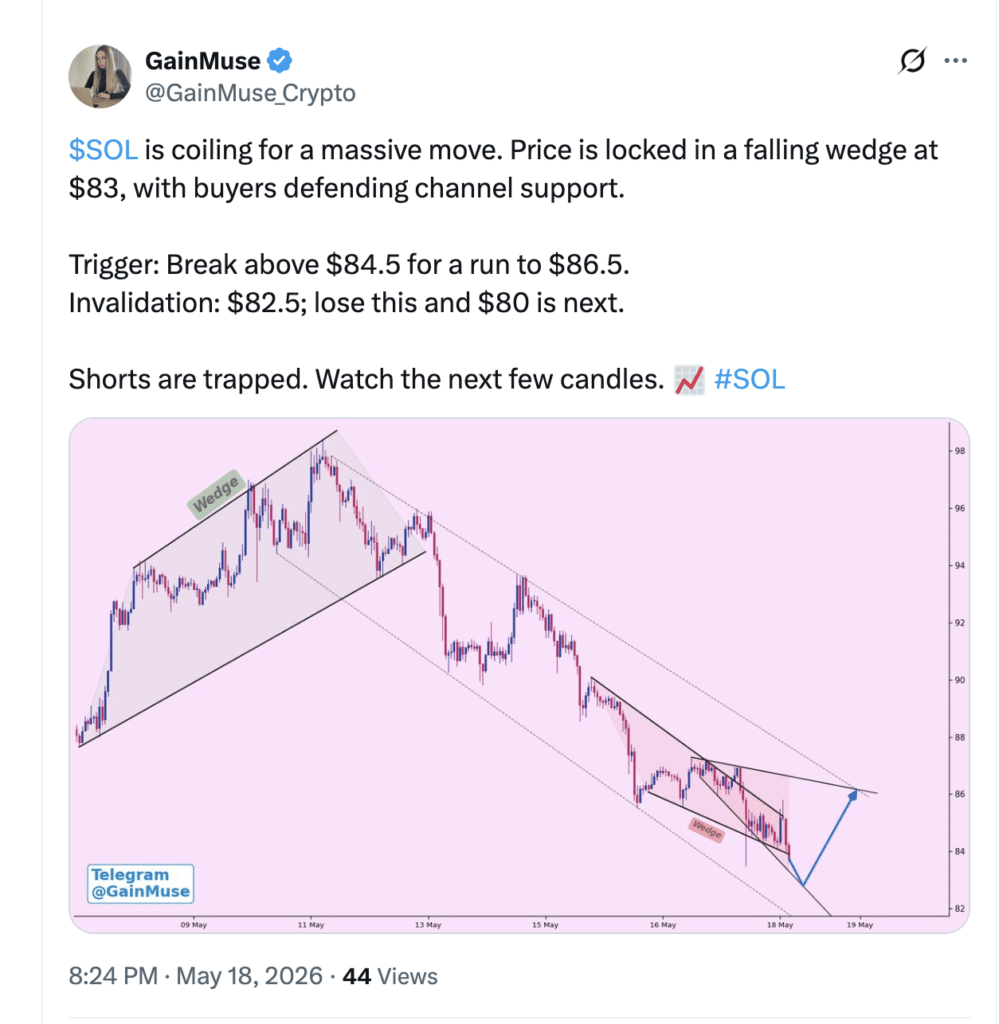 Solana price drop bearish SOL data (Source:X/GainMuse_Crypto)