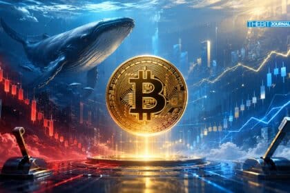 Bitcoin Whale Short Raises Fresh BTC Squeeze Risk as Market Leverage Builds