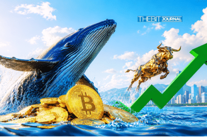 BTC price