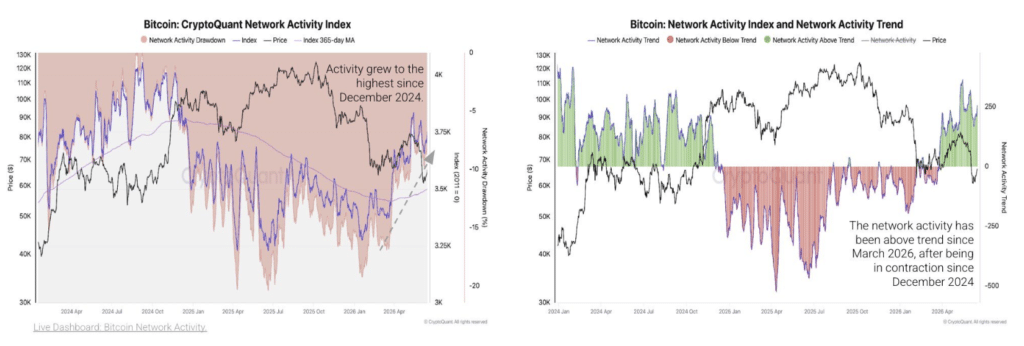Bitcoin bull phase fueled by rising network activity. Source: CryptoQuant