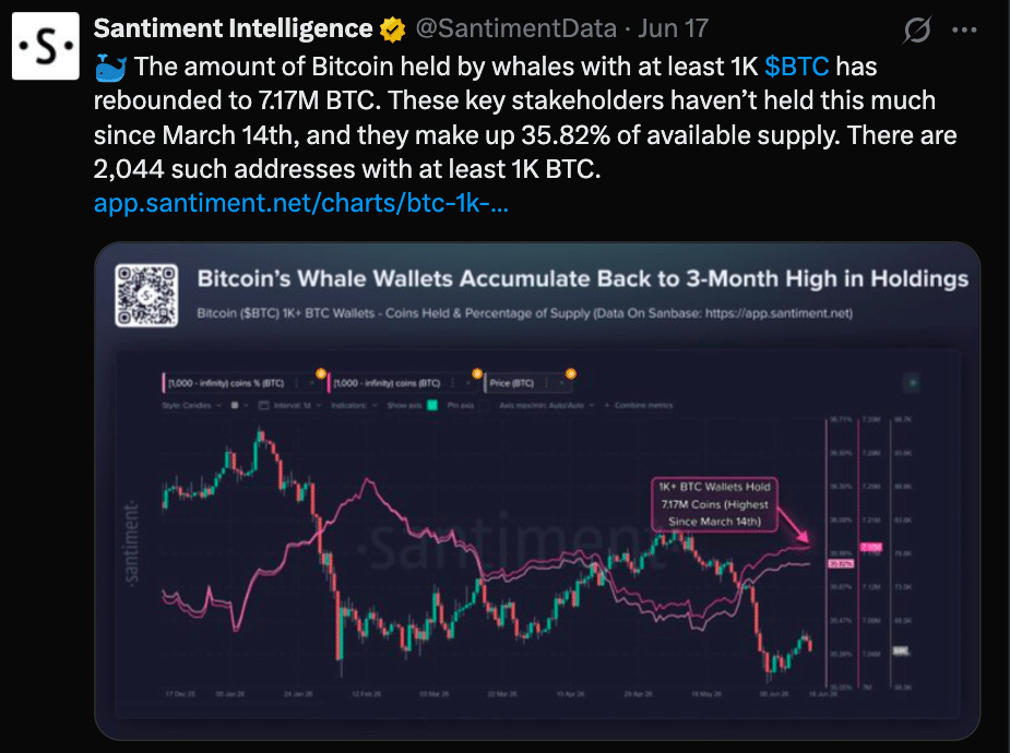 Bitcoin Whale Accumulation Reaches 3-Month High