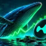 Hyperliquid Price Hits Record High as Whales Return