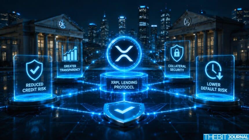 Abflüsse aus dem XRP-ETF beenden 9-wöchige Serie, da die Nachfrage nachlässt 7 Abflüsse aus dem XRP-ETF beenden 9-wöchige Serie, da die Nachfrage nachlässt