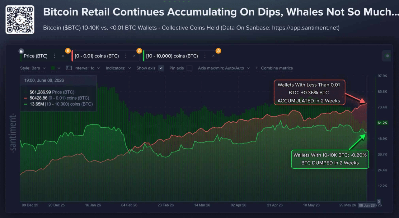 Bitcoin Whales Face $16.4B Losses as BTC Market Balance Shifts
