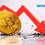 Bitcoin Price Crash