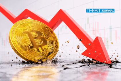 Bitcoin Price Crash