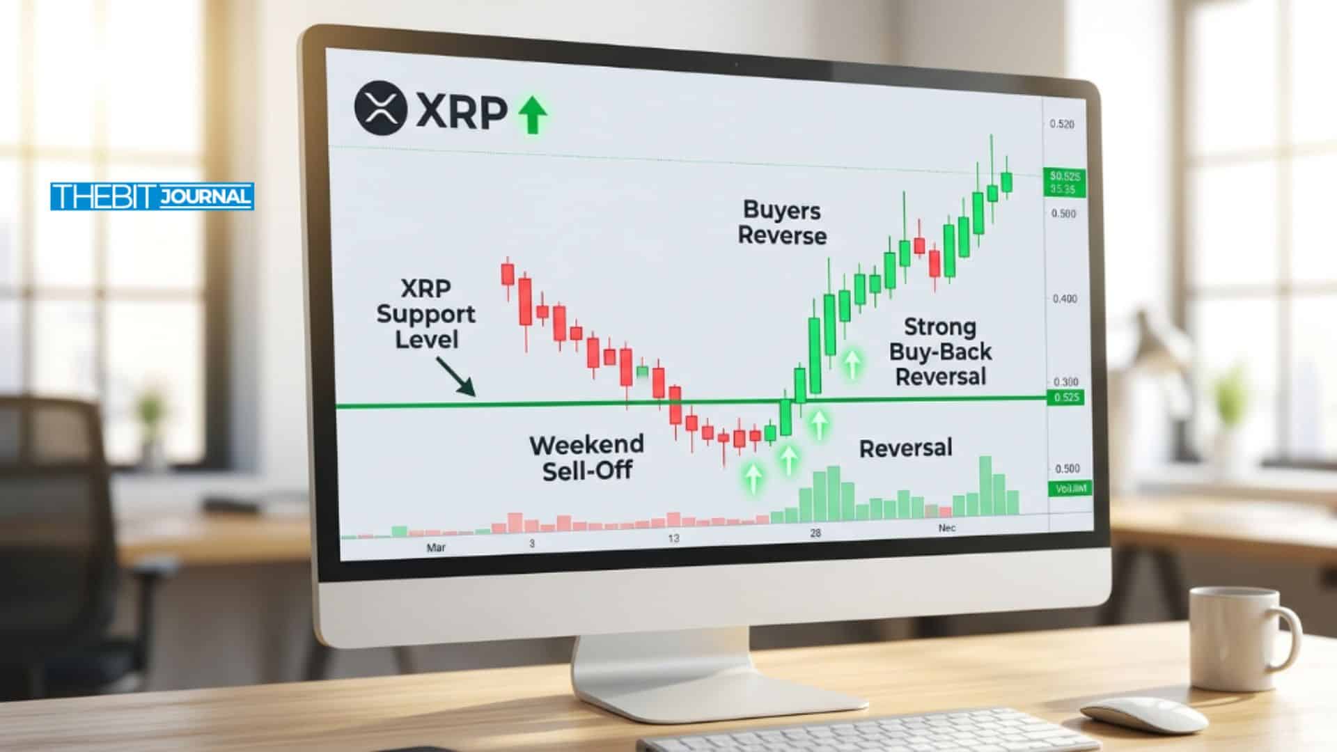 XRP Support Level Holds Firm