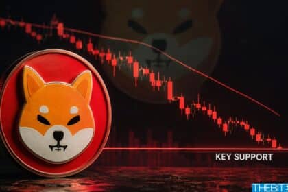 Shiba-Inu-Kurs gibt nach starker Memecoin-Rally nach