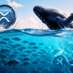 XRP Holders