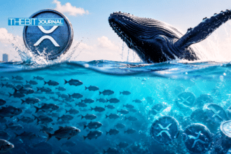 XRP Holders