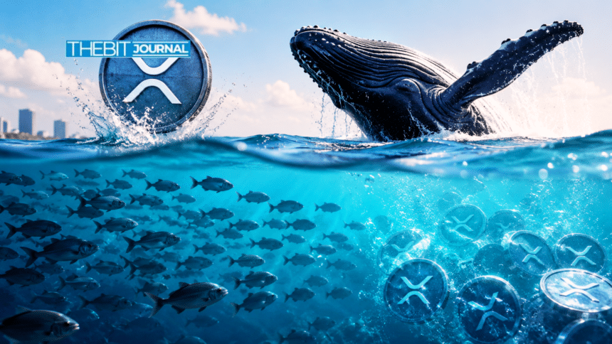 XRP Holders