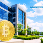 Bitcoin Treasury