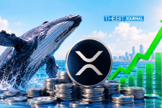 XRP whales