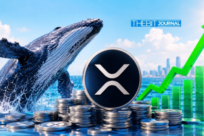 XRP whales