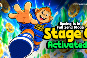 image3.png